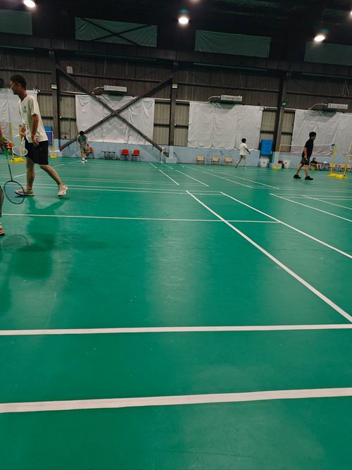 替补登场依 替补登场依